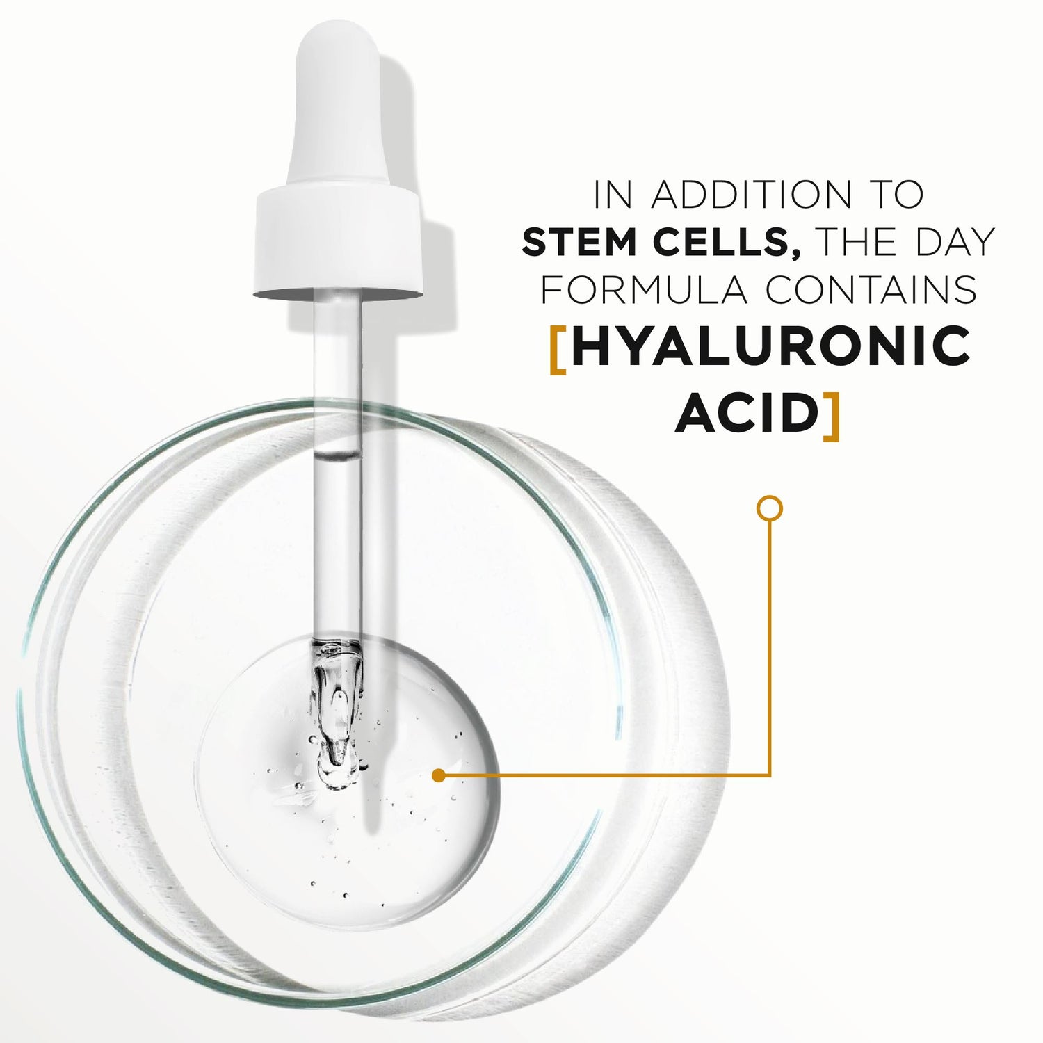 DAY AND NIGHT FACIAL SERUM KIT WITH COTTON AND CENTELLA STEM CELLS