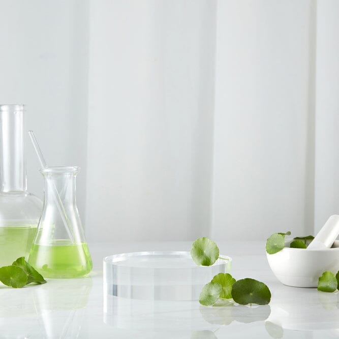 FACTS ABOUT STEM CELLS YOU DIDN'T KNOW – vitasei