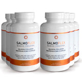 SALMOFLEX JOINT HEALTH