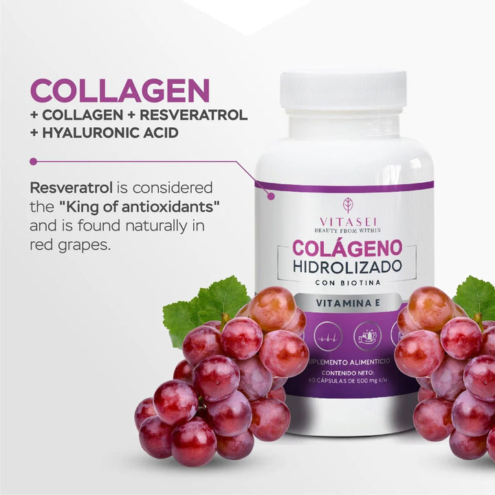 Chocolate Flavor Collagen with Resveratrol + Collagen Peptide Capsules