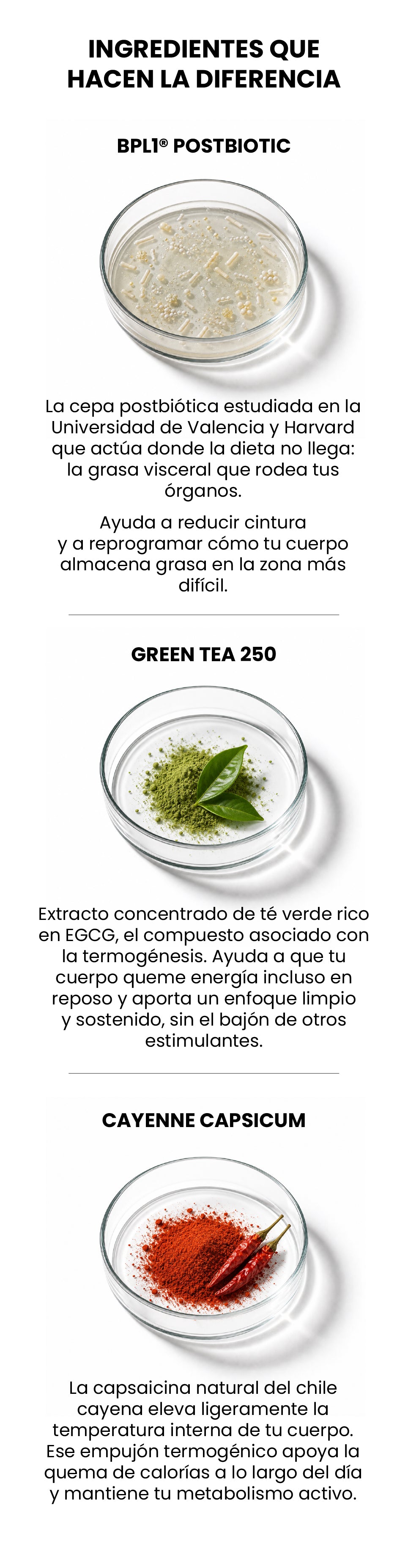 Ingredientes BPL1 movil