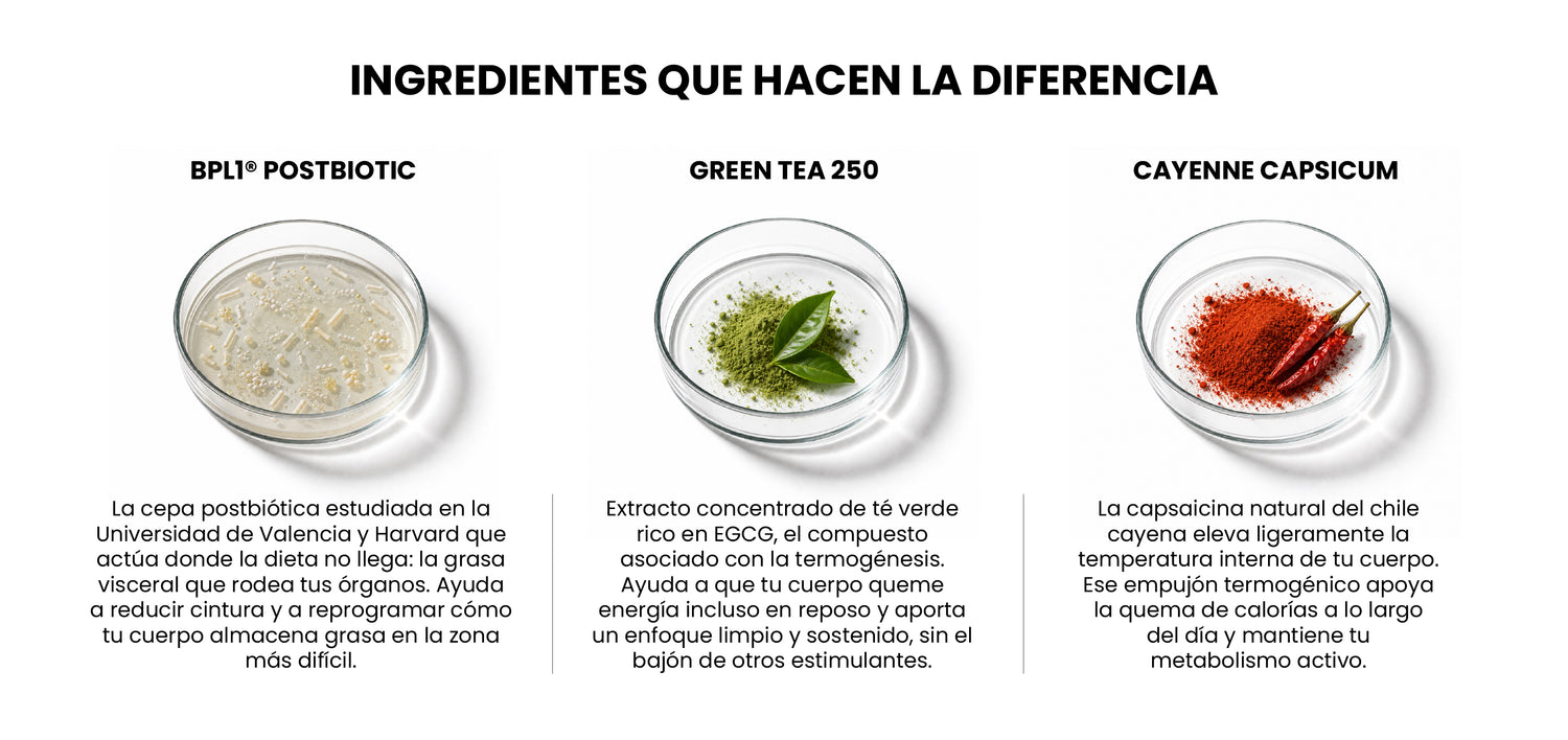 Ingredientes BPL1
